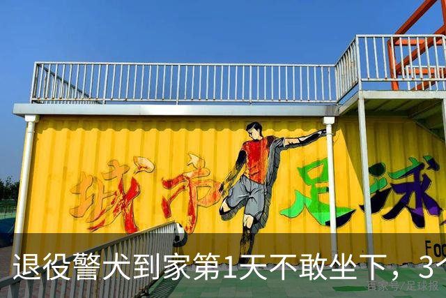 退役警犬到家第1天不敢坐下，3个月后…猫哥被烦到想报警？警犬：报吧，出警的是我前爹！